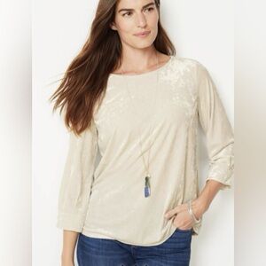 J. Jill Crushed Velvet long sleeve top